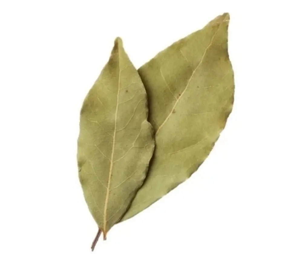 Hojas de Laurel paq 50 gr