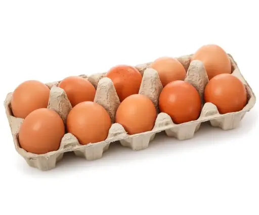 Huevos Pastoreo cartón 15 unid