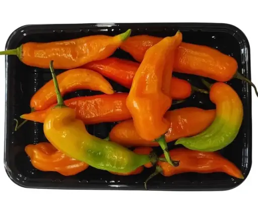 Chile Aji Amarillo