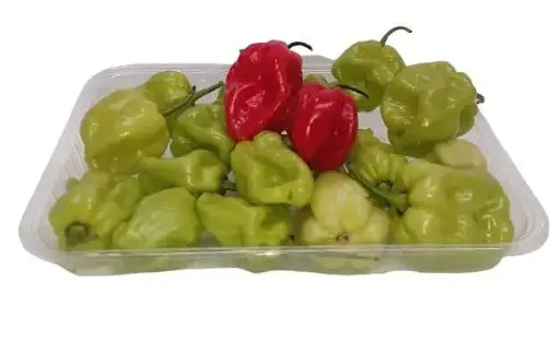 Chile panameño kg