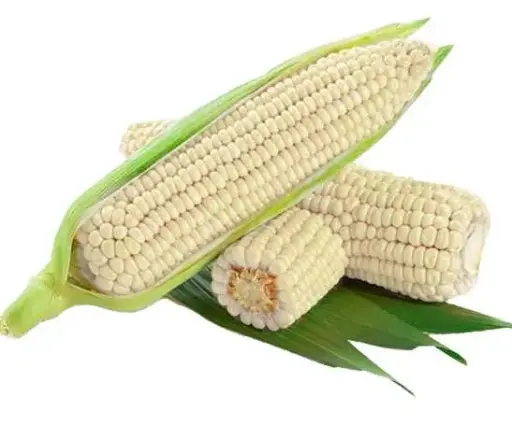 Elote tuza unid