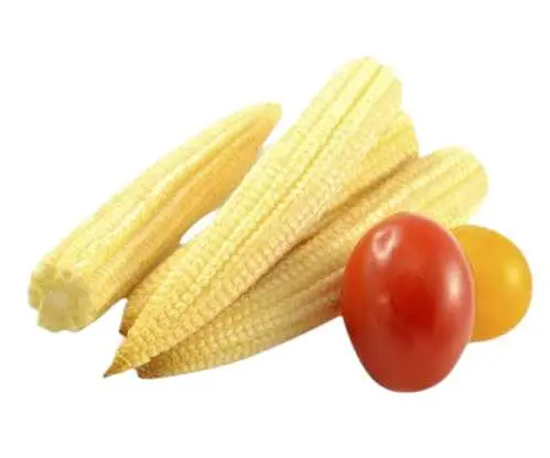 Elotes Miny ban