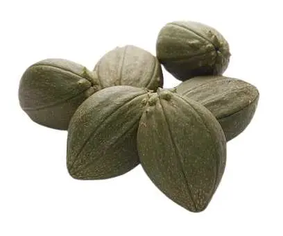 Tacaco kg