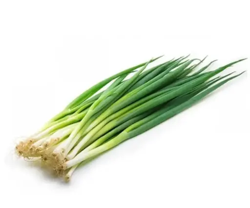 Cebollin Rollo