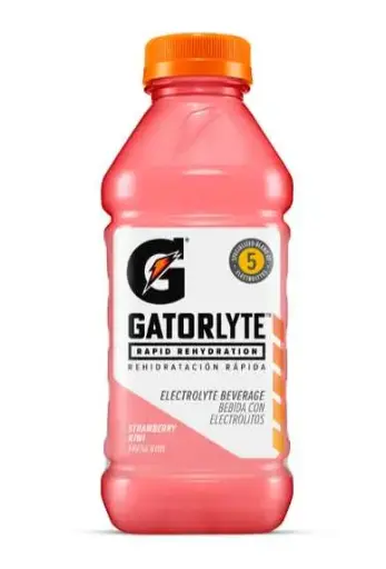 Gatorlyte 600 ml 