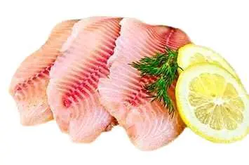 Tilapia